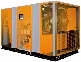 Винтовой компрессор Ekomak EKO 250 SCD 10 — фото 2